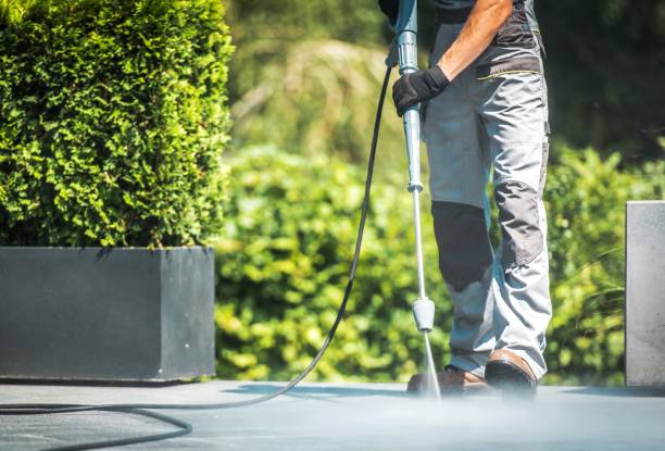 Best Driveway Cleaning and Restoration in Macarthur, WV